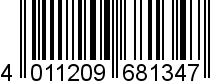 4011209681347