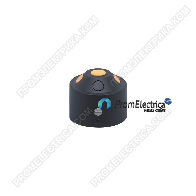 E17324 инициатор